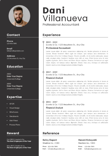 Professional CV Sample 44
